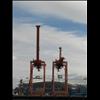 IMG_6425
3/21/2007 1:12:26 PM
